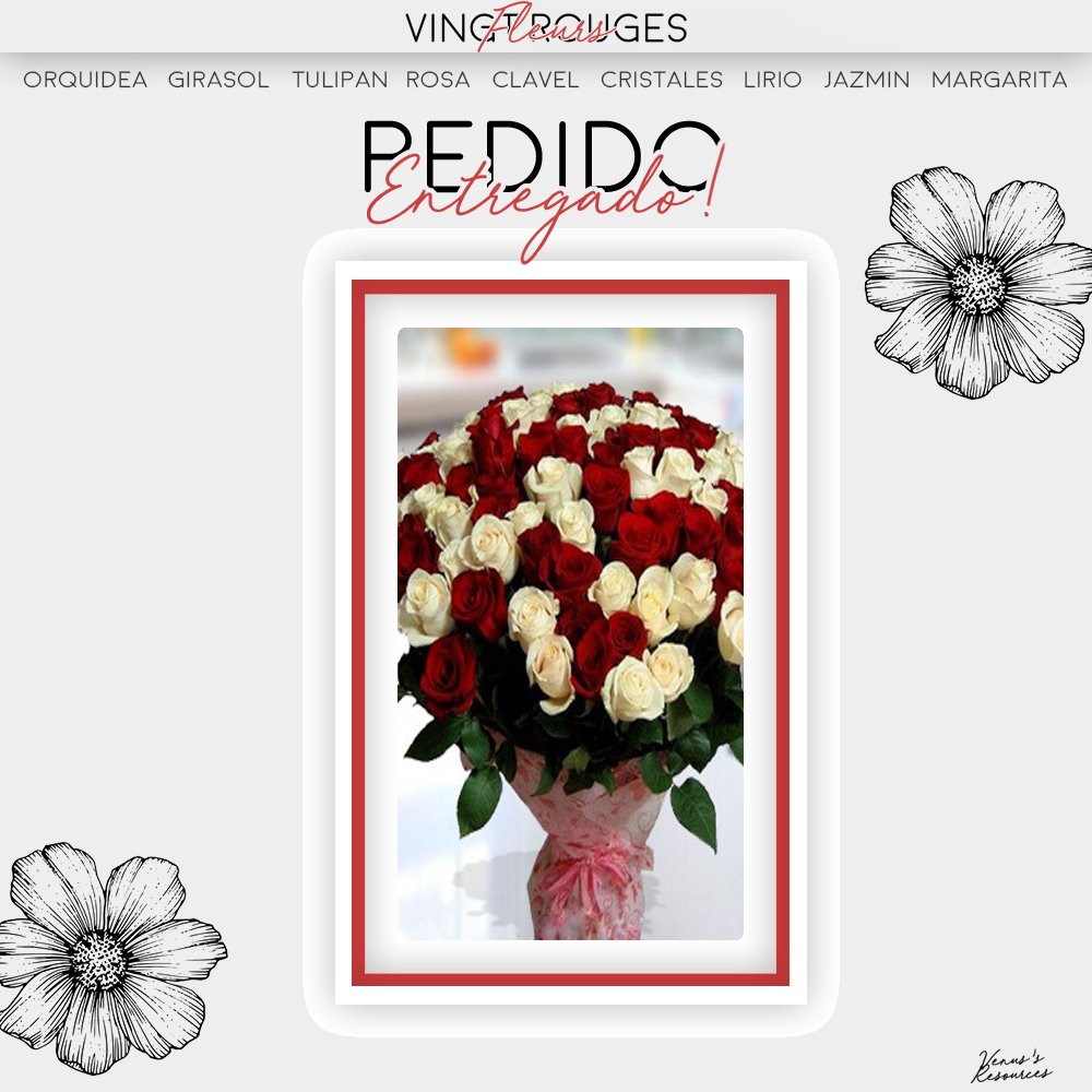 ❝Cher Valentine; @valenzhdanov.❞

                                 Lútfi te ha dejado un increíble ramo de rosas rojas y blancas.  con algunos chocolates sólo para ti ¡esperamos que sea de su agrado!

                                         —VFR. 🌸