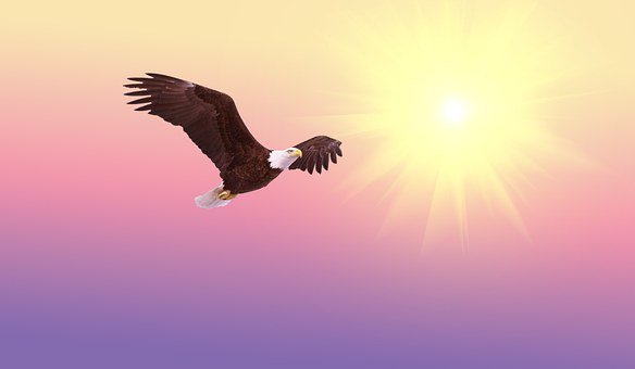GwenCotterell's tweet image. "We will gather strength as we wait patiently upon the Lord.  As the prophet, Isaiah, wrote, 'They that wait upon the LORD shall renew their strength; they shall mount up with wings as eagles; they shall run...' " 
—Isaiah 40:31 KJV

#TheJoysofHeaven
#Toplink