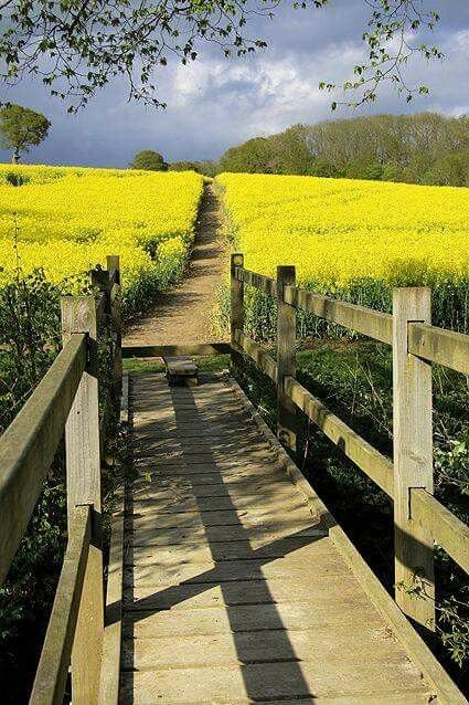 MarionSpekker's tweet photo. Good morning : ))
Twitterworld ✨🌻✨ https://t.co/FeH0dZ9Yw9