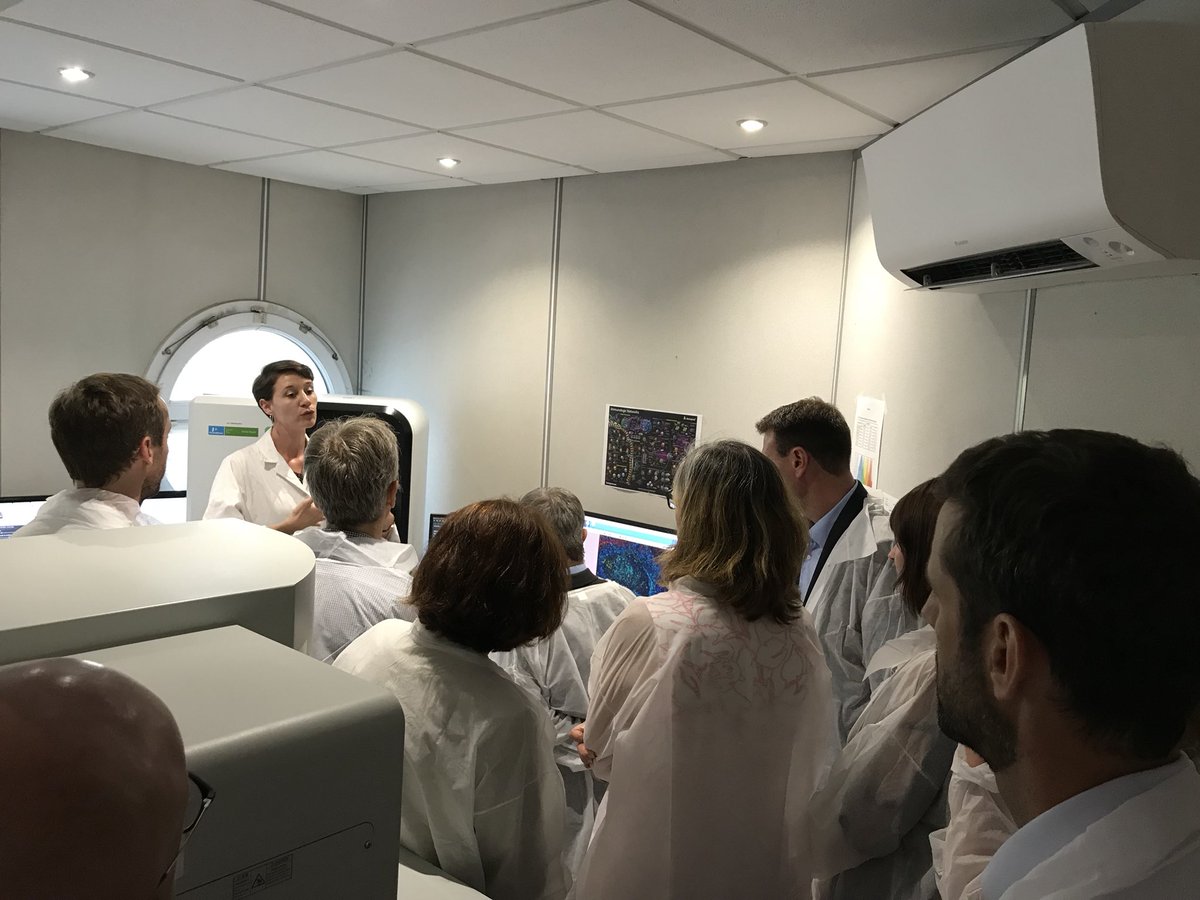 HISTALIM tweet media