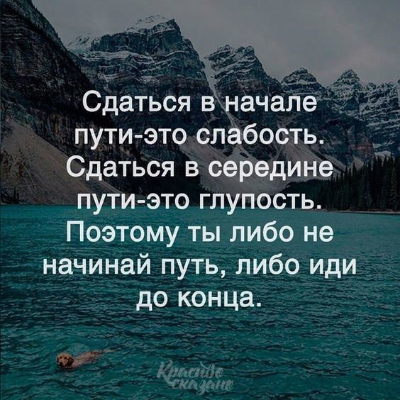 Мудрость веков (@delaisam) on Twitter photo 
