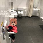 トイレのベビーキープと開閉ボタンの位置はしっかり考えてくださいw