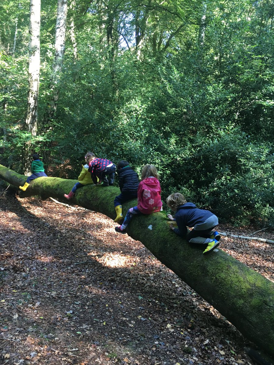 HarrietHouseHM's tweet photo. Risk taking in the woods https://t.co/6MUS3DVa5d