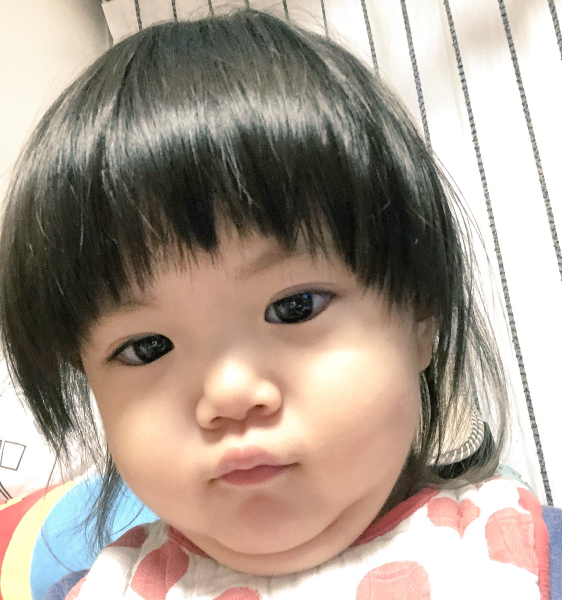 フュリ長 年女なペニーワイフ 二重顎 なミニフュリ長 最近顎の下にオモチャを収納して遊んでます 笑 1歳8ヶ月 娘 ミニフュリ長 T Co Sbtue41frt Twitter