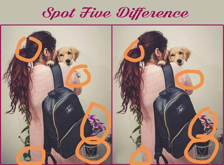 MayurMa46334426's tweet image. #spotdifferences #backpack #doggo #puzzle #game #laviebags 
Here is my entry team Lavie
Join friends
@gadhiyahm
@Rupalpiya 
@pppppiya 
@arupdas726 
@jigarbjadav
