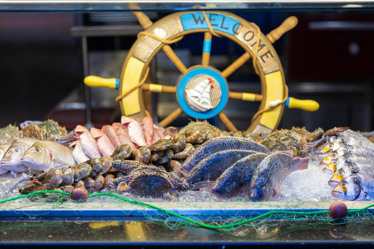 GoExploreCity's tweet photo. Do you fancy a perfectly shucked fresh oyster &amp; a bit of lemon?

GoExplore @Nidaaya #SeafoodNight in @CrownePlaza Doha Westbay 
Tonight, starts at 7PM ‘til 11PM.
See you there!

#nidaayarestaurant #nidaayaseafoodnight #crowneplazahotel @IHG #goexplore #Doha #tourism #Hospitality https://t.co/5oYq4soqFa