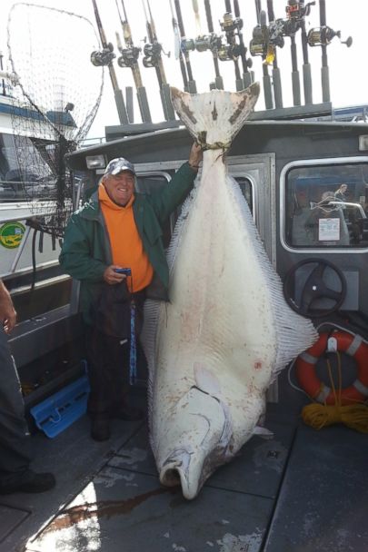 William67791963's tweet photo. This guy just caught a 482lb Halibut in Alaska.
#fishing #fishinglife #fishilinglover https://t.co/adWoX2Iy8Q