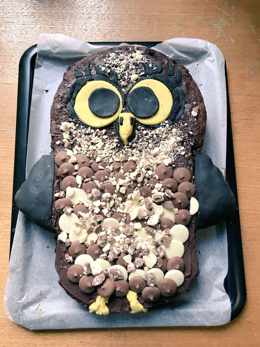 My slightly cartoonish powerful owl entry to the @BioPS_unimelb ‘Bake your RHD competition’! #powerfulowl #biodiversityoffsets #threatenedspecies