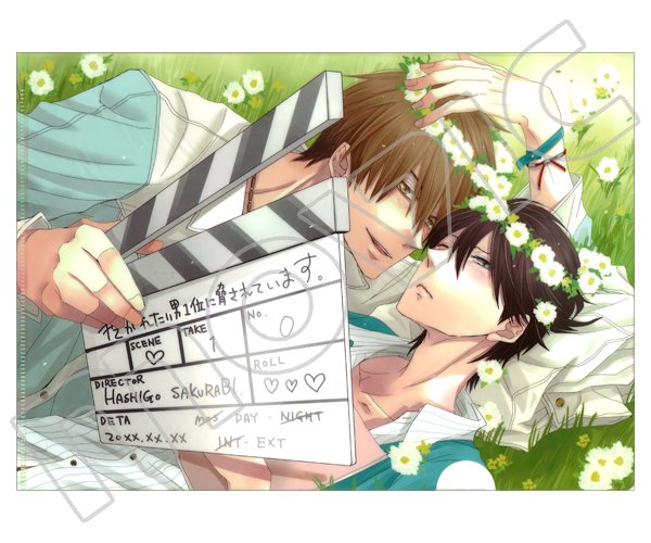 抱かれたい男1位に脅されています。 だかいち クリアファイル 桜