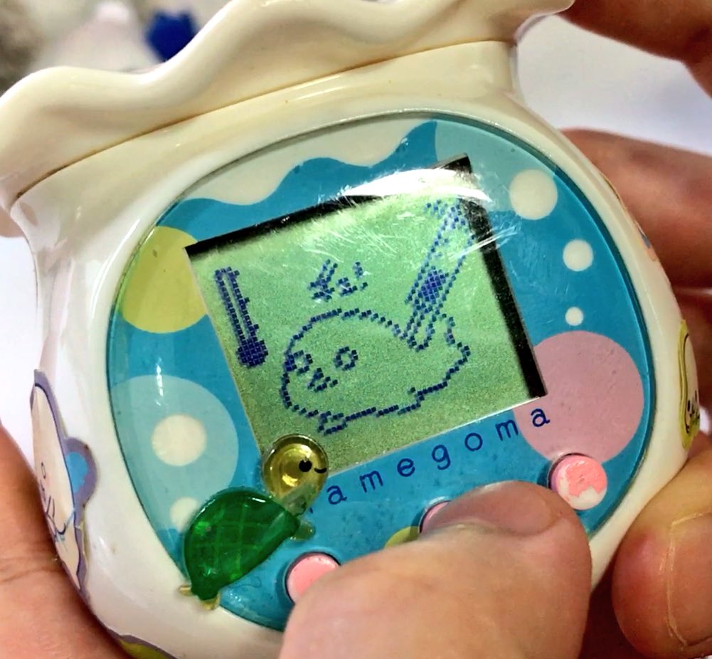 まめゴマ飼育日記