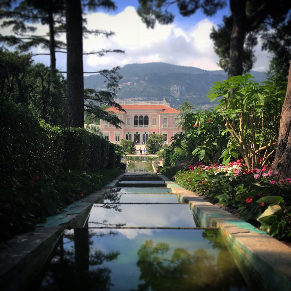 VisitCotedazur's tweet photo. Pour notre #JeudiPhoto, cap sur la Villa Ephrussi de Rothschild ! 
📷@SBertoni #CotedAzurFrance https://t.co/ZiIyqQcNzv