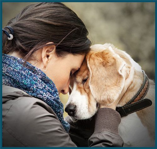Pawsmetics tweet media