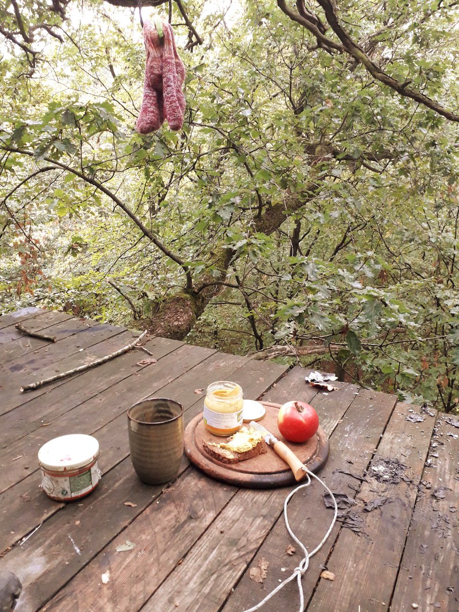 HambiBleibt's tweet photo. Letztes Frühstück in 20m Höhe? Danke Baum, für die Zeit die ich auf dir leben durfte. Danke an all die wunderbaren Wesen die den Wald bevölkern. Ihr habt mir gezeigt, was es bedeutet, in Würde zu leben. Die Freiheit die wir jetzt kennen, kann niemand mehr nehmen. #HambiBleibt! https://t.co/Duk7J2leUl