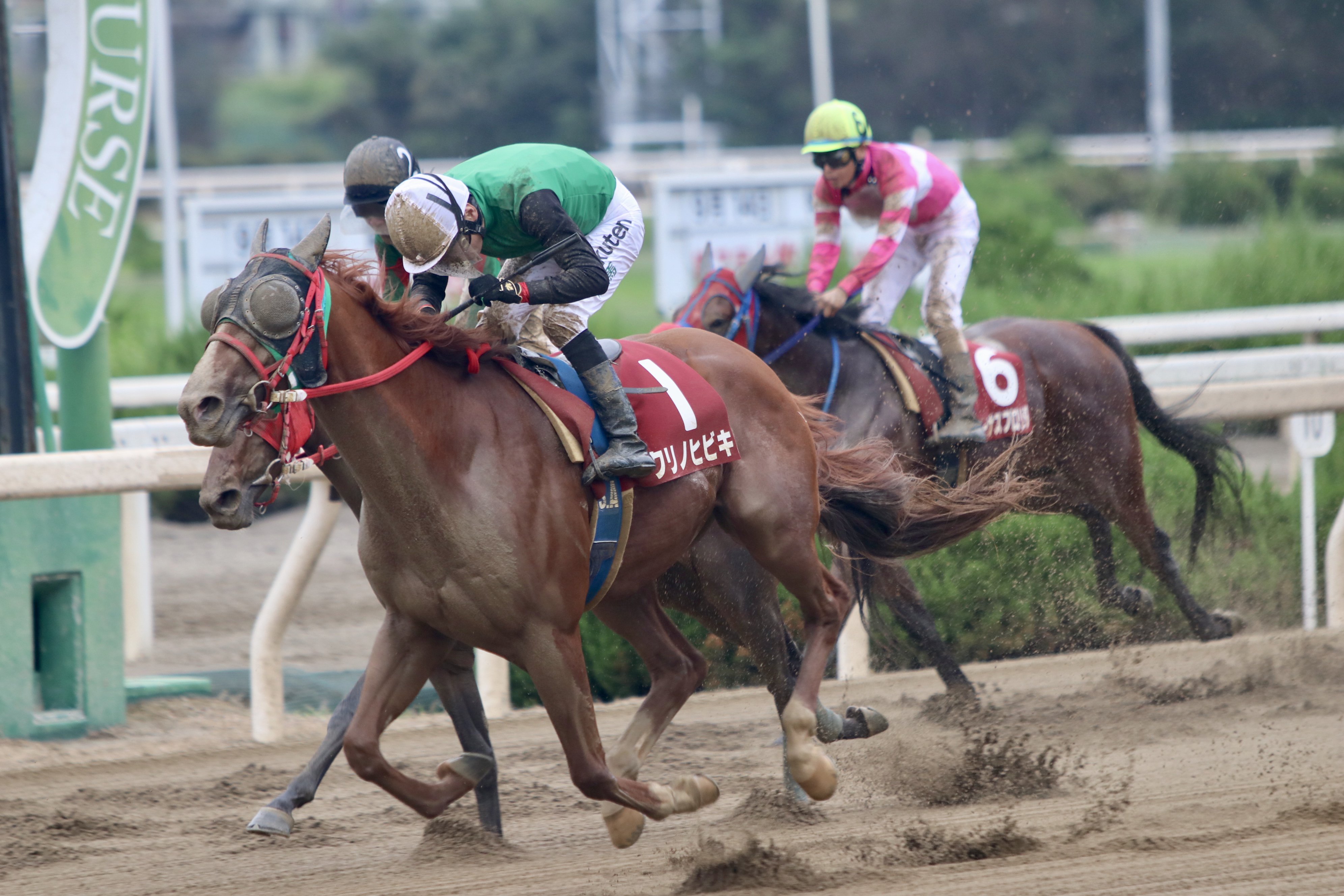 地方競馬全国協会 Nar 公式 兵庫ダービー2着 クリノヒビキ テン乗り高知 赤岡修次騎手に導かれ直線外から鮮やか差し切り 重賞初v 第1回 園田オータムトロフィー 1700ｍ 3歳秋のチャンピオンシップ 第4戦 結果 T Co Wqhumipjub 2着
