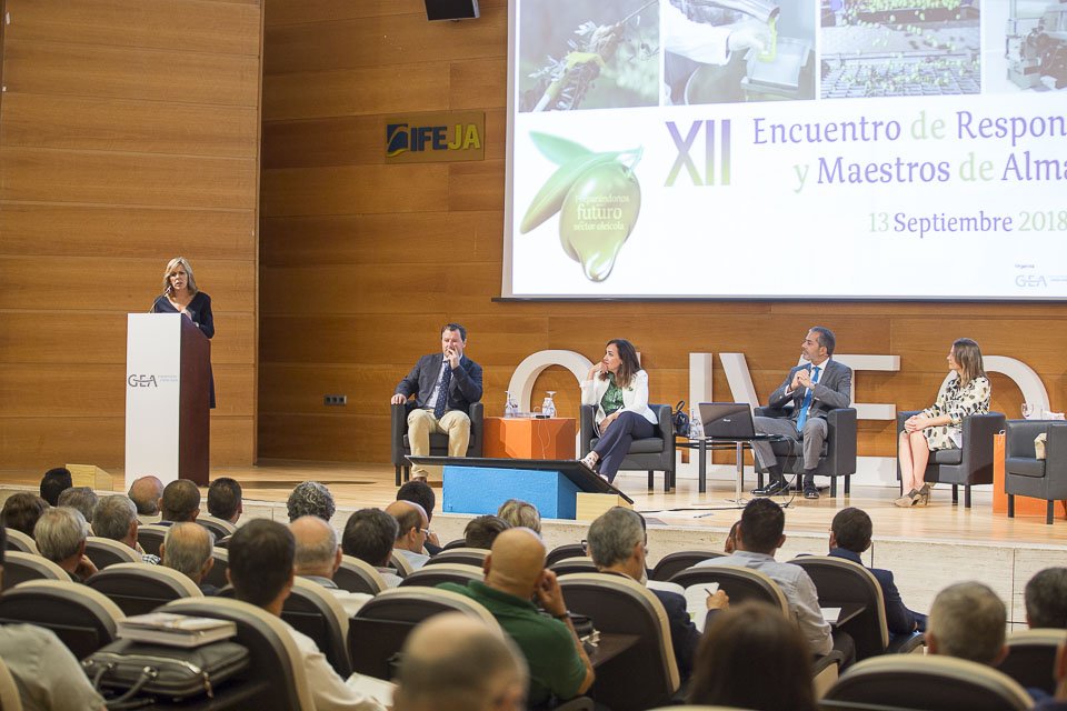 IFEJA FERIAS JAEN tweet media
