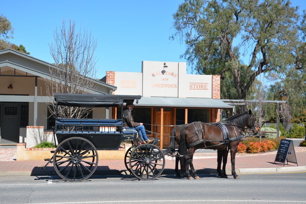 Barossa Carriages recently dropped in for a visit with a family of four... What a perfect day!

#kalleskewines #barossa # barossawine #organic #biodynamic