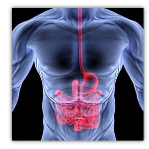 FoodCook2's tweet image. How The Foods You're Eating Every Day Are Making Your Fat Cells SICK ...

Making it IMPOSSIBLE to lose weight , while also damaging your joints, disrupting your hormones, rapidly aging your skin, and even leading to Diabetes.
.It will help read more buff.ly/2x8Ta2D