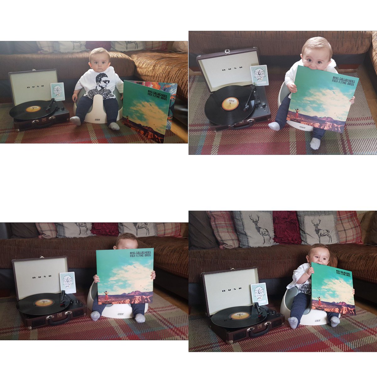 BEAUTIFULMUMSIE's tweet photo. @NoelGallagher think Baby Max in Scotland must be your No. 1 Fan Noel @lindsayg888 @ChrisShannon2 @BEAUTIFULMUMSIE @dollybirdsdad @paperdollybird https://t.co/qaL0Sdpo4I