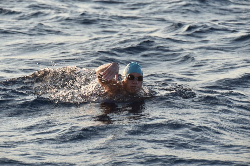 Revista Open Swim tweet media