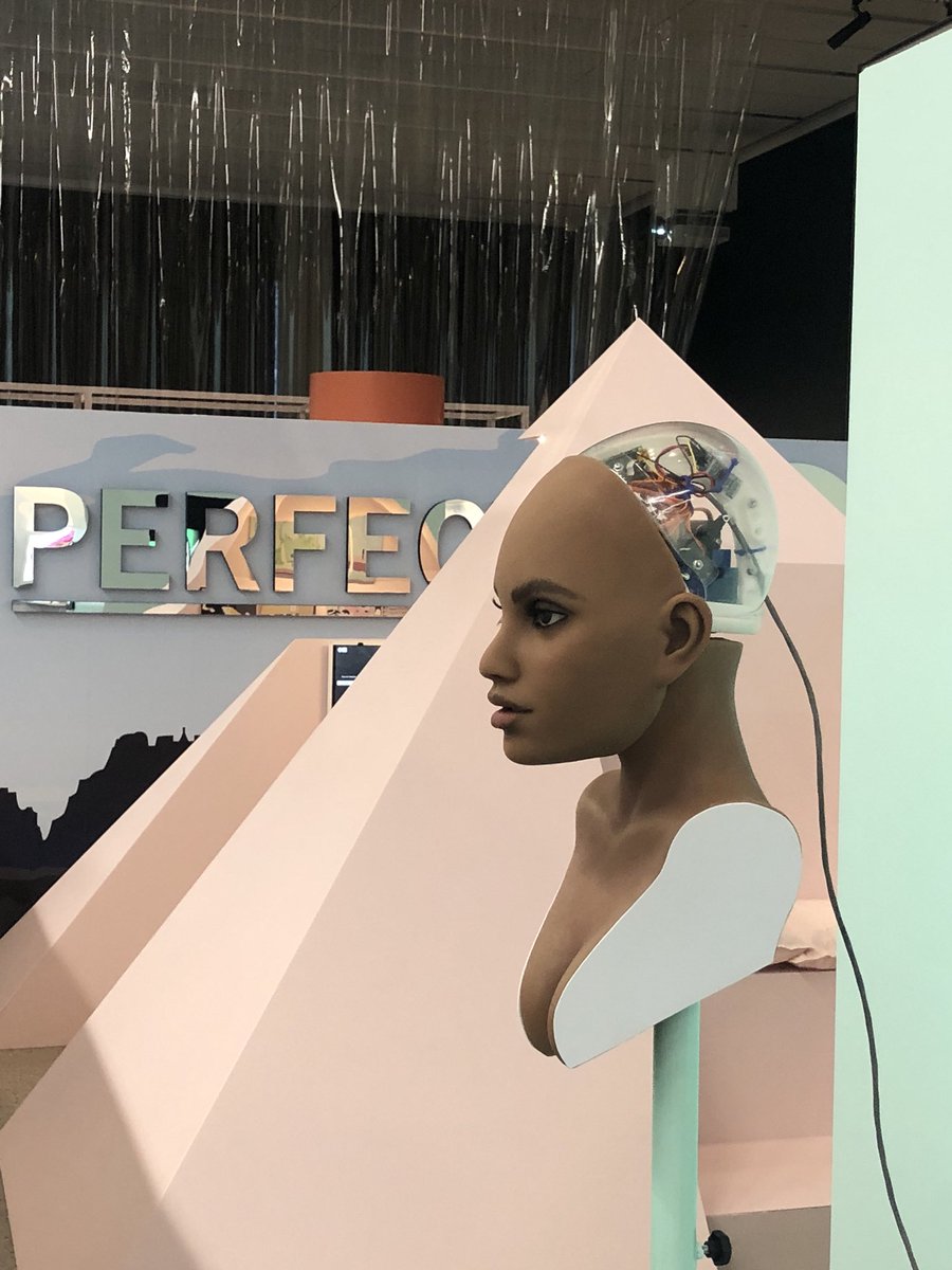 gwilliamsgrpgrp's tweet photo. Here we are at the @scigallerymel launch of #PERFECTION Featuring works such as #BiometricMirror #theboostproject Harmony the Sex Robot, #Graham and much more. Amazing exhibition π Open now until Nov 3rd: https://t.co/9SBHtaSHlr #SGMPerfection #ScienceGallery #SGMelbourne #STEM https://t.co/41oSkSv6xr