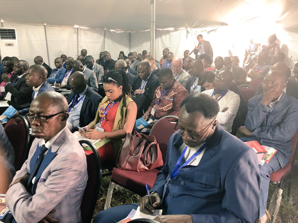 ANNY  T. MODI tweet media