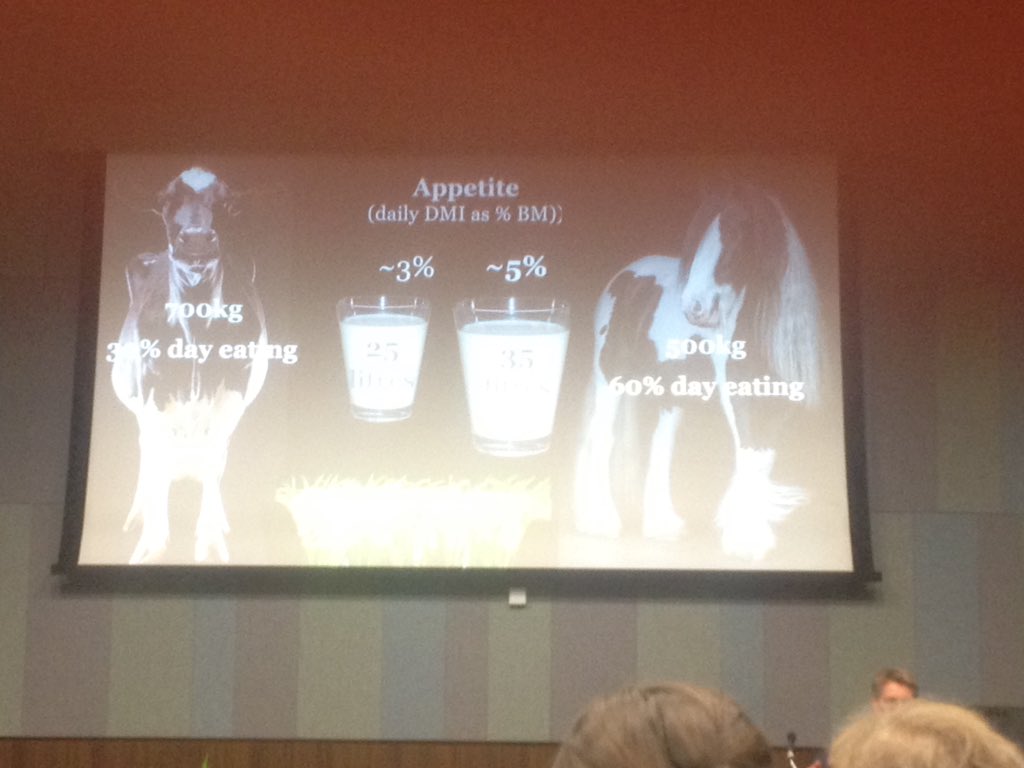 tamzinfurtado's tweet photo. "Rocket fuel" grass intended for dairy cattle is far more than horses need - Caroline Argo #BEVA2018 #equinewelfare #fatpets https://t.co/YZNOycQZ1N
