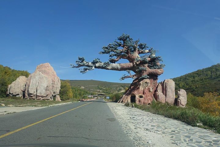 Fox_Eusebio's tweet image. 路邊的巨樹
#GreatTree via Facebook ift.tt/2NdQhry