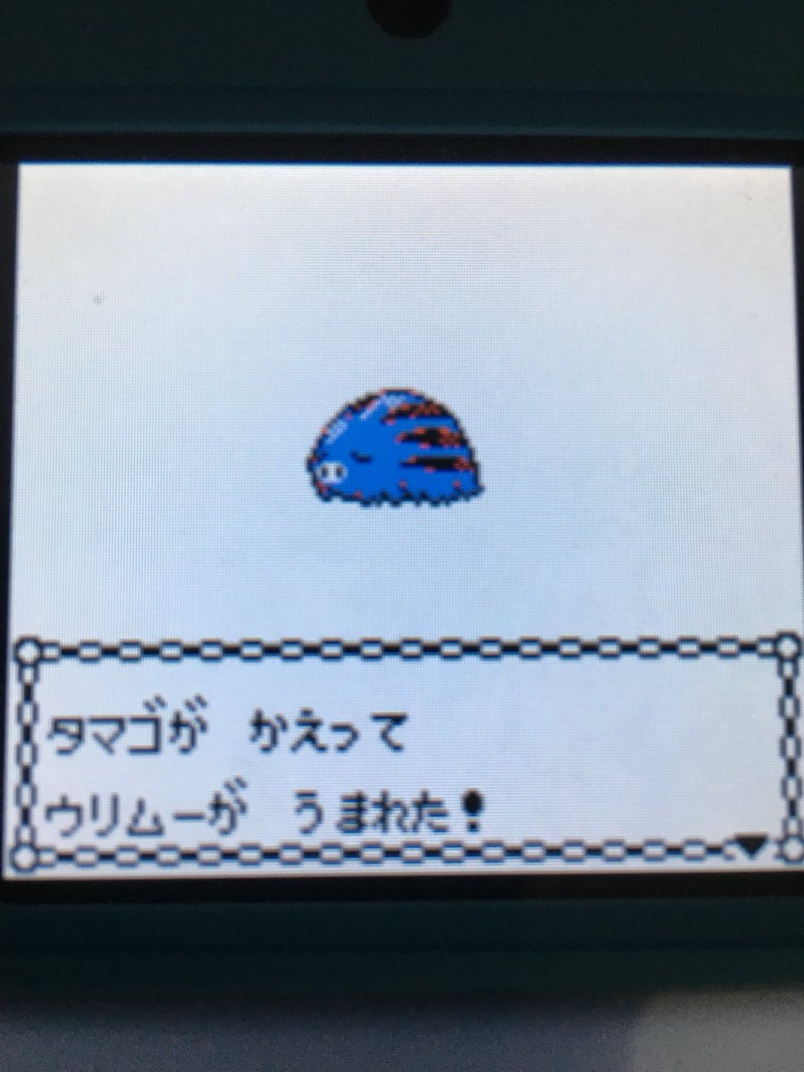 色違いポケモン紹介 Vc産ウリムー 自由に生きてあそblog