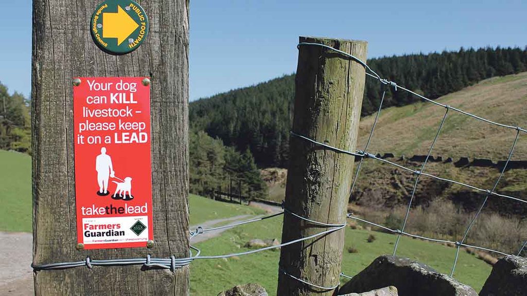 If you would like some of these signs, please send a stamped, self-addressed A4 envelope to:

FG Take the Lead, Farmers Guardian,
Unit 4, Fulwood Business Park,
Preston, Lancashire,
PR2 9NZ.

#FGTakeTheLead
