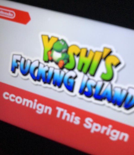 Post funny obviously/deliberately fake Nintendo Direct Leaks