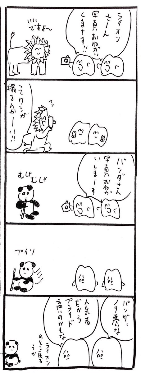 ライオンとパンダ 