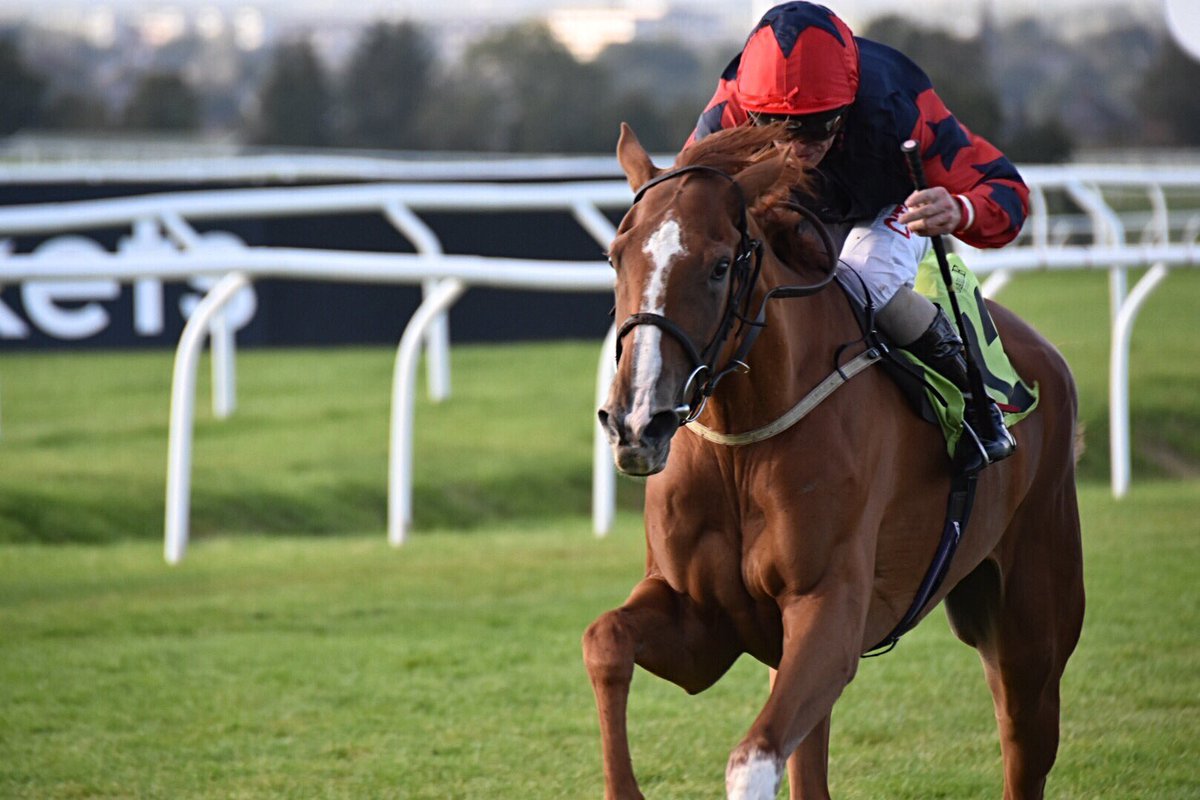 Hilboroughstud's tweet photo. Great to see So near so Farhh @DarleyStallions win nicely @CarlisleRaces trained by @Mick_Channon born and bred at Hilborough Stud https://t.co/yBk2rQf4Az