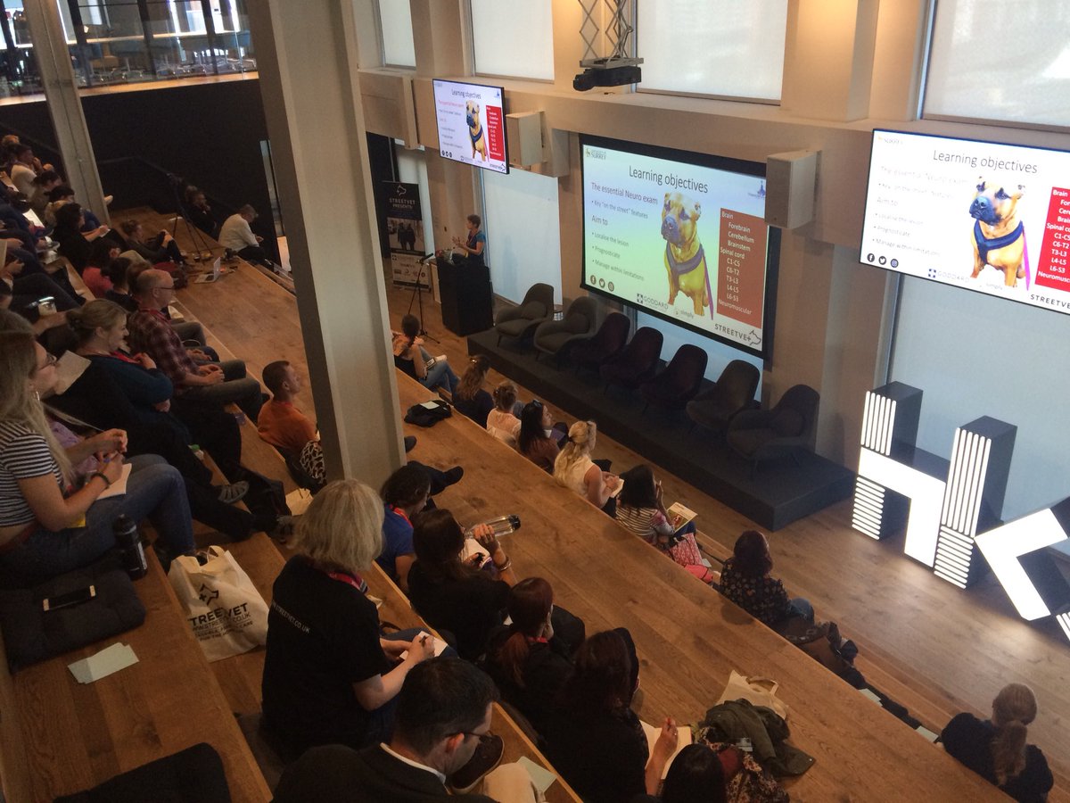 Dr Hannah Perrin on Twitter "Next up, neurovet_clare on street