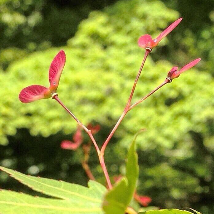 重要なことは
人が何を持って
生まれたかではなく
与えられたものを
どう使いこなすかである。

アドラー