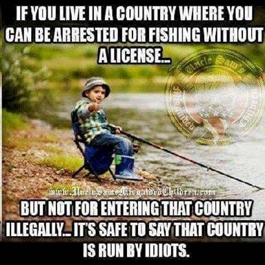 Knoxpolitical1's tweet photo. https://t.co/1H5L2sAF0T