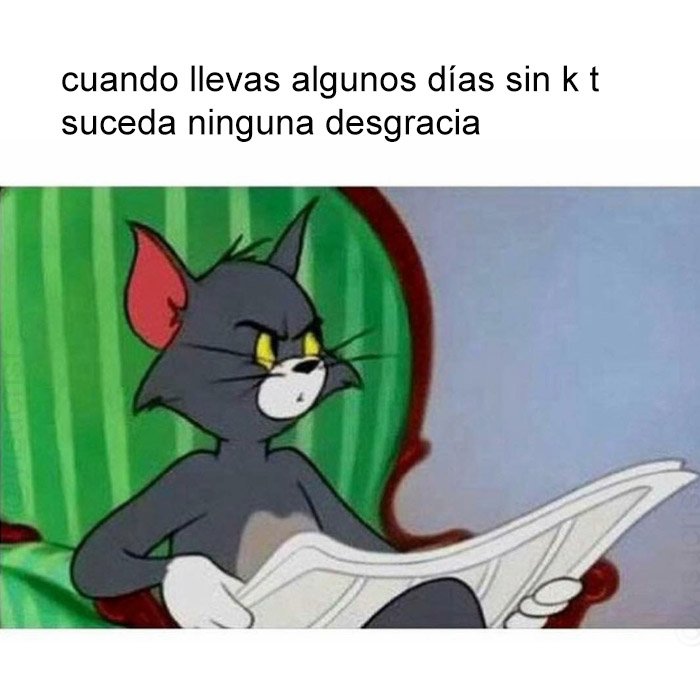 jezucrihto xd tweet media