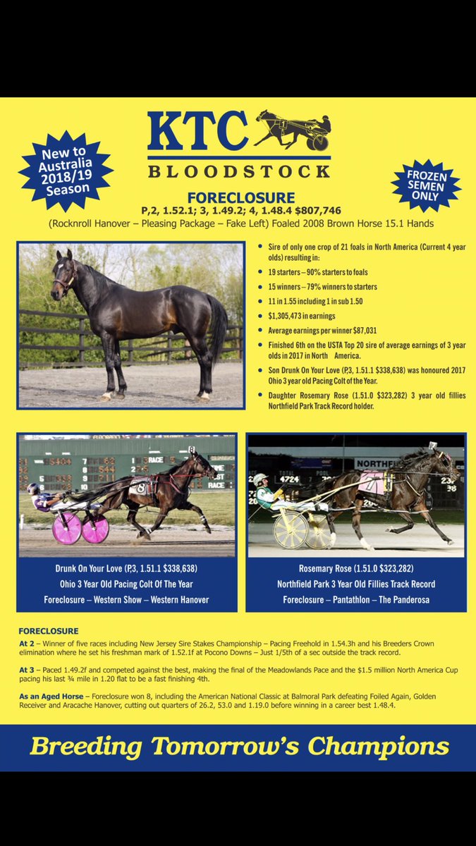 KTCBloodstock's tweet photo. The breeding season has started! Are you breeding your standardbred this year? Match her today. #Foreclosure #ControlTheMoment https://t.co/uVjQaIZ9FN https://t.co/XtMngQWVp9