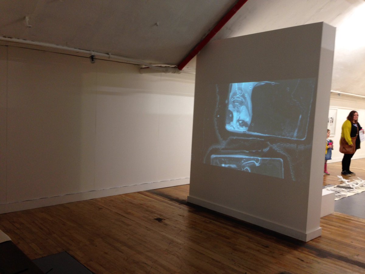 cyhurst's tweet image. 