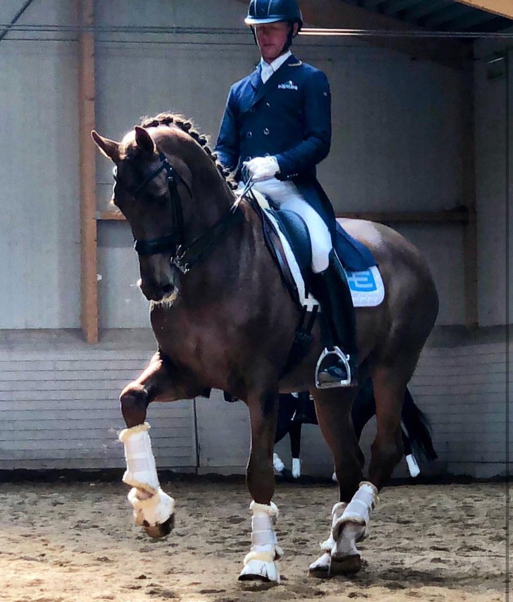 🥉in Grand Prix today with Sir Adam. I love riding this spectacular mover. Thanks Lillann C Jebsen for trusting we with your diamond.  #equalityline #rsmustang #nafsweden #hippocrates.se #alfabhastlastbilar #madshendeliowitz #segerstaequestrian