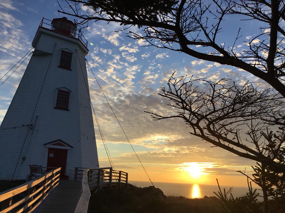 Grand Manan Island tweet media