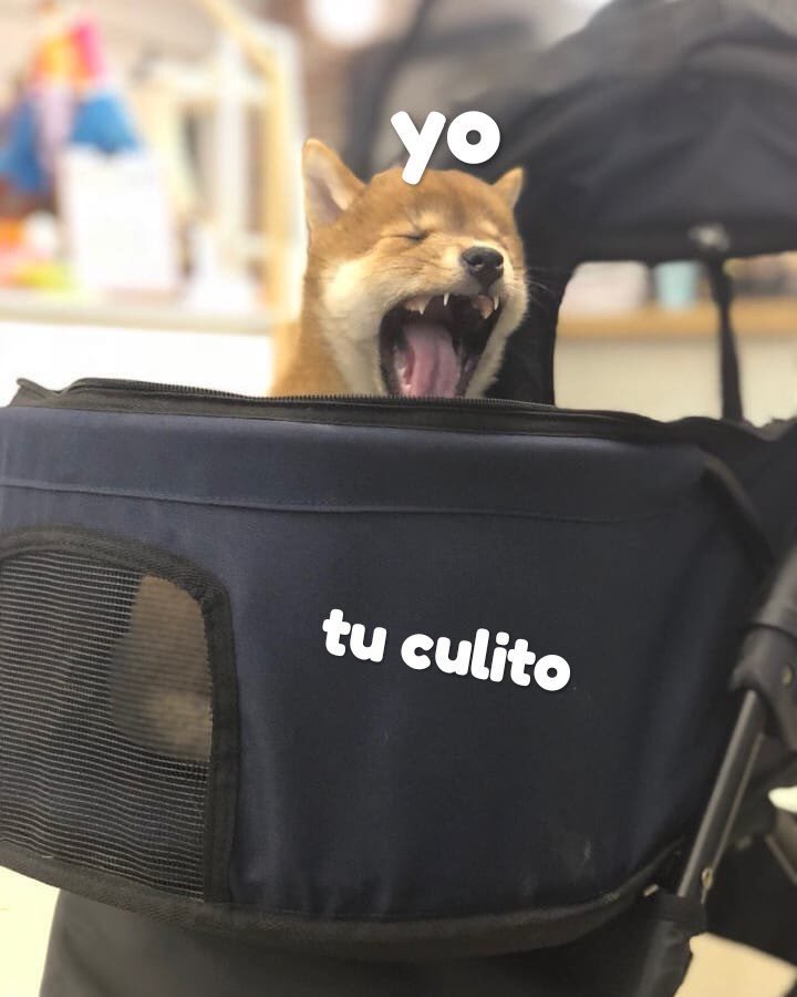memes4love1's tweet photo. https://t.co/jdJiONTeUi