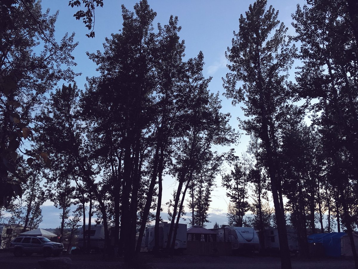 J_Crowd's tweet image. Camping. #1goodthing