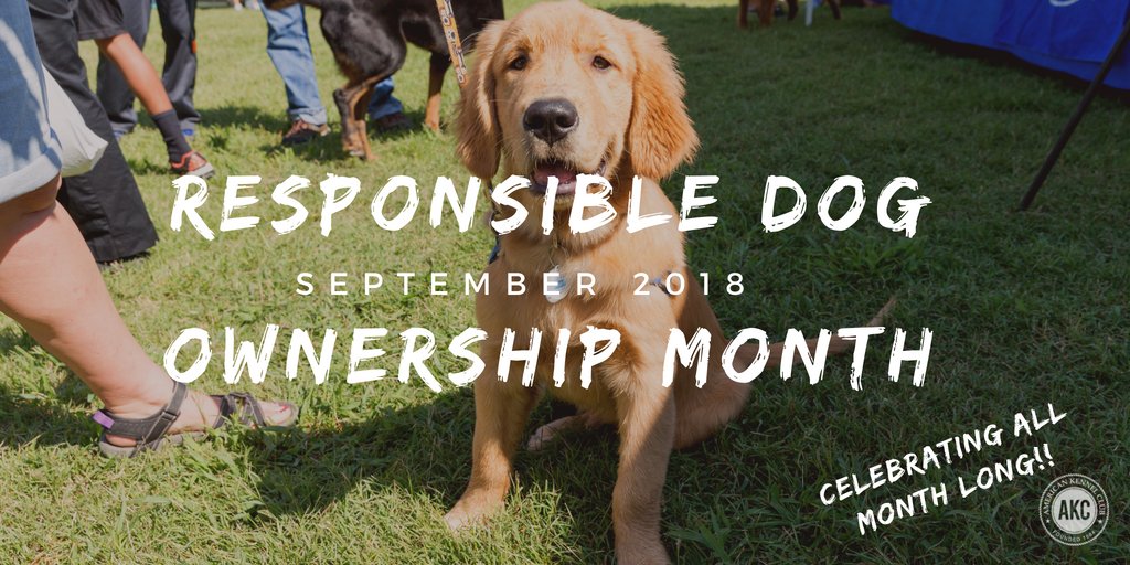 akcdoglovers's tweet photo. Today marks the start of Responsible Dog Ownership month! We'll be celebrating all month long—what does responsible dog ownership mean to you?! 🐾 
#responsibledogowner #loveyourdog #RDOMonth #AKCEvents https://t.co/jrutYyGRt4