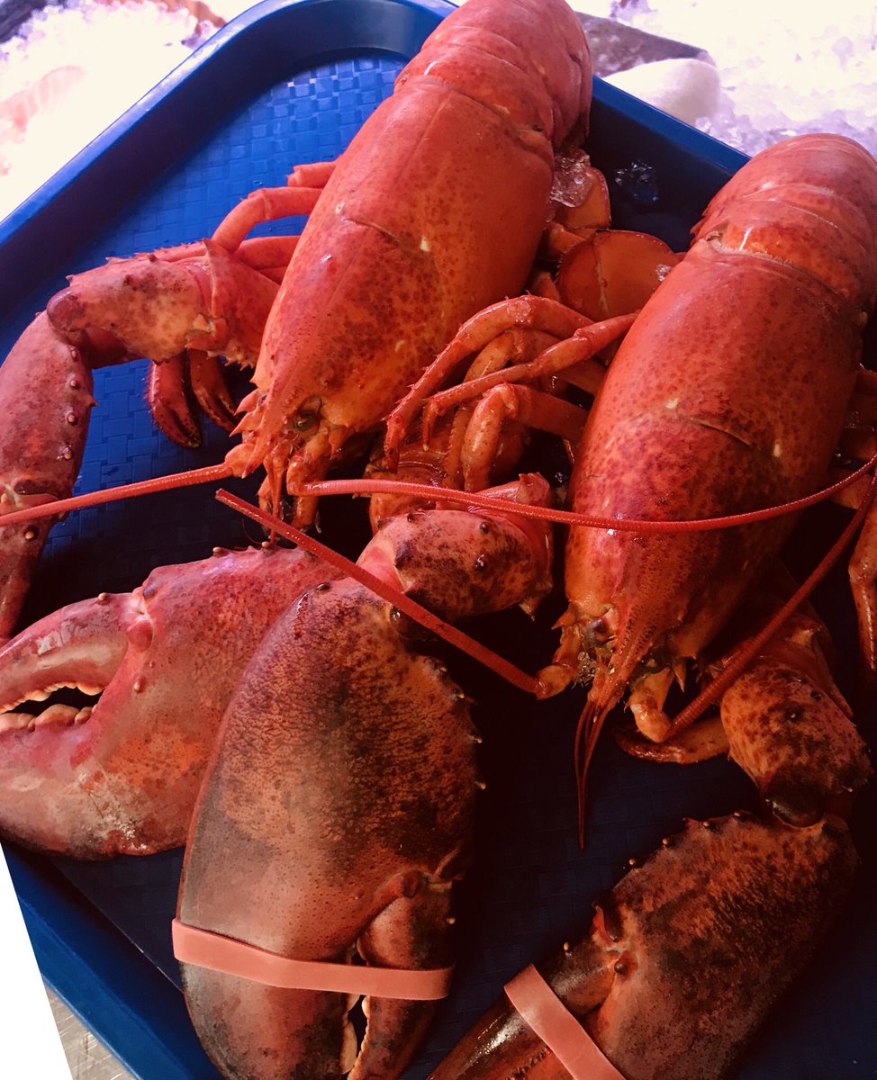 beech_inn's tweet photo. Surf or Turf? #SurfnTurf #Steak #Lobster #BeechTree #Seafood #Food #Foodie #Cardiff https://t.co/Ciz9l79UC5