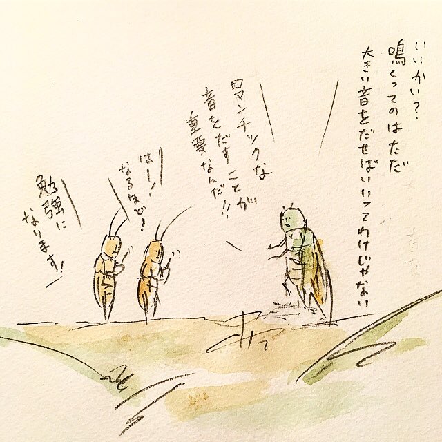 ゆるふわ昆虫図鑑 على تويتر セミのレクチャー