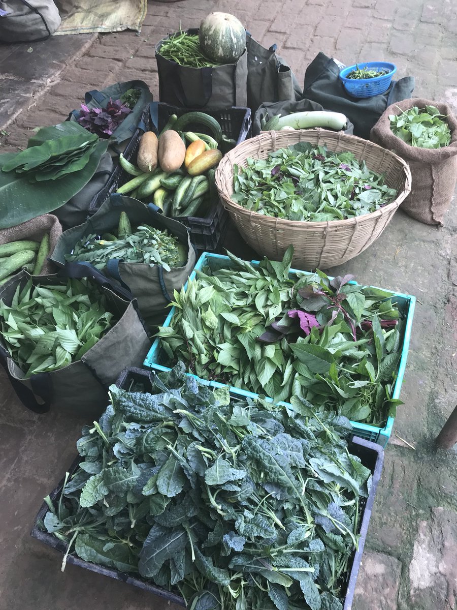 DelhiOFM's tweet photo. Our farmers are getting ready for tomorrow’s farmers market. Do you know who grows your food? Have you checked, how do they grow it? Be connected to your food growers and empower yourself with knowledge about what you eat. https://t.co/zMzM81uLXK