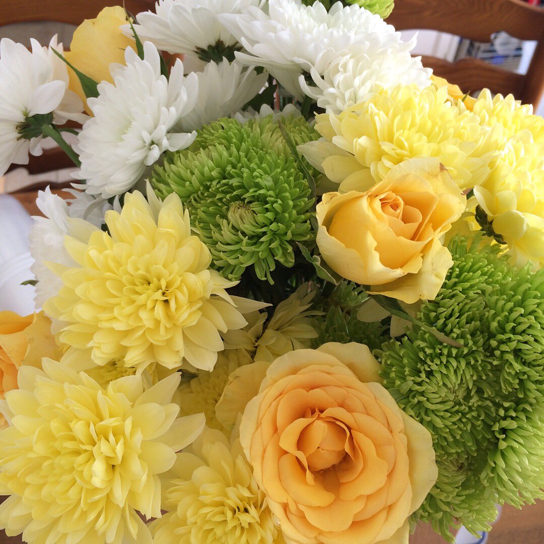Feel very lucky to have received three unexpected beautiful bunches of flowers in the last week. Brining the sunshine indoors!