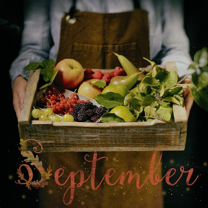 EquatorDesignUS's tweet image. September is the cusp of autumn, as the leaves begin to change from bright, lively greens to a vibrant palette of warm oranges, rusted reds and golden.

Here&apos;s our first image for #September #createdbyequator #autumn #fall