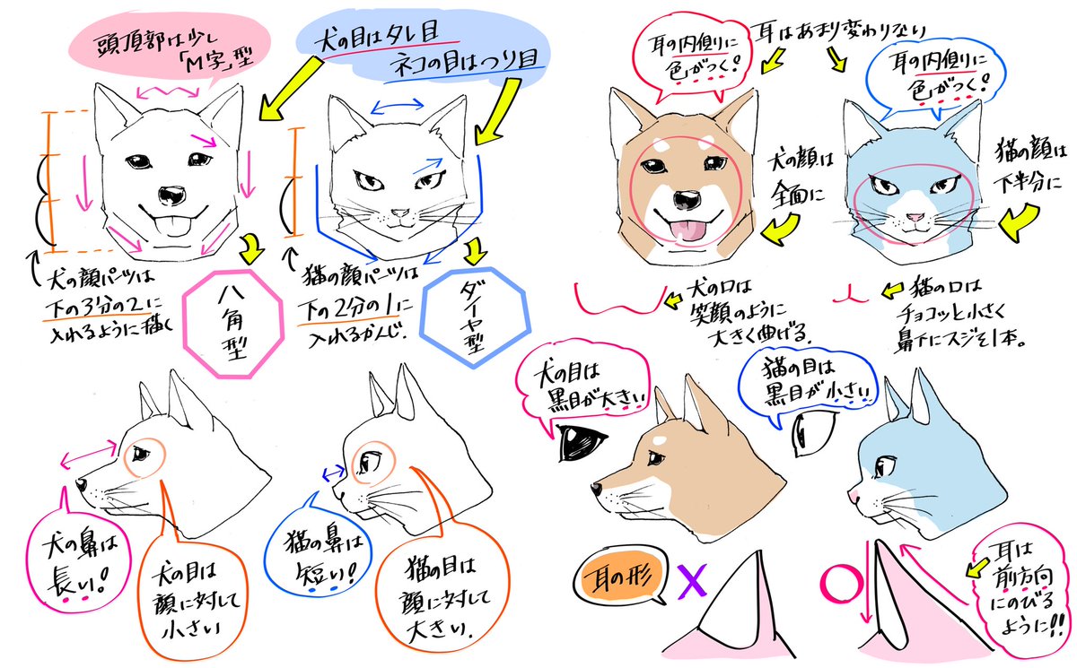 吉村拓也 イラスト講座 Twitter પર 犬を犬らしく 猫を猫らしく 動物を描くときのコツ
