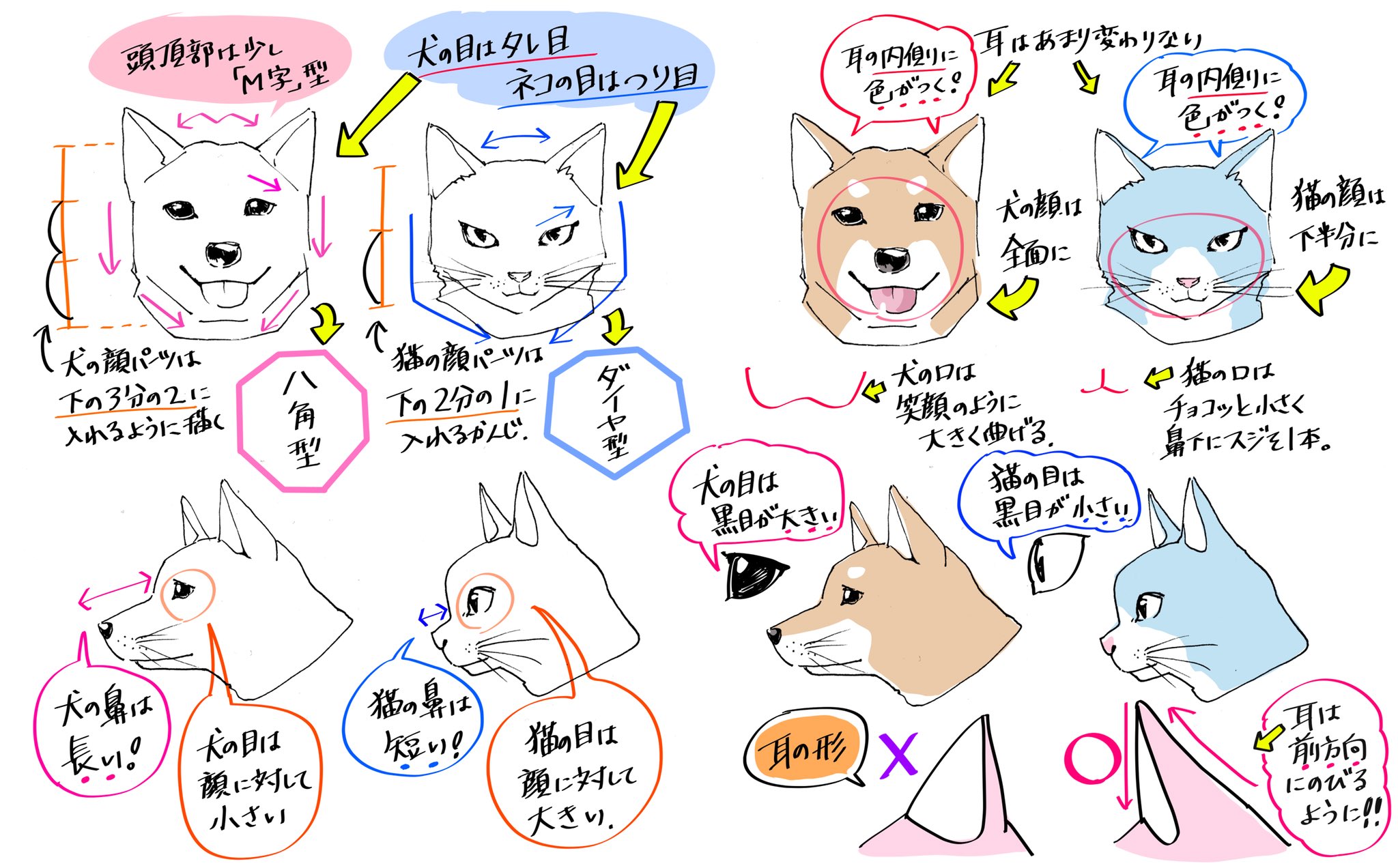 吉村拓也 イラスト講座 Twitter પર 犬を犬らしく 猫を猫らしく 動物を描くときのコツ 吉村拓也 イラスト講座 Twitter પર 犬を犬らしく 猫を猫らしく 動物を描くときのコツ